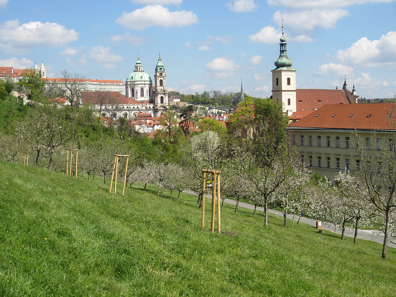 Blossoming orchard trees on Petřín Hill in spring